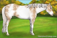 Horse Color:White Spotted Silver Classic Champagne Frame 