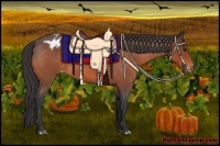 Horse Color:Bay Roan Sabino Varnish 