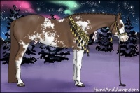 Horse Color:Liver Chestnut Sabino