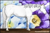 Horse Color:Silver Buckskin Dun Splash Tobiano 