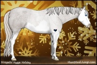 Horse Color:Silver Blue Roan Splash Rabicano 