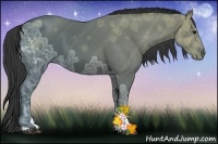 Horse Color:Smoky Black Ice Sabino 