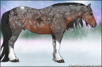Horse Color:Brown Ice Tobiano