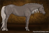Horse Color:Silver Black 
