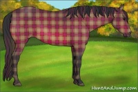 Horse Color:Plaid Bay