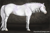 Horse Color:Watercolor White Spotted Silver Amber Cream Champagne Onyx 