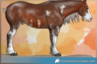 Horse Color:Silver Brown Sabino 
