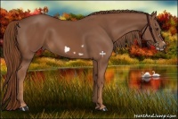 Horse Color:Chestnut Frame