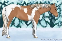 Horse Color:Chestnut Tobiano