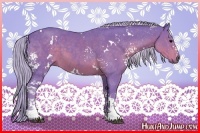 Horse Color:Watercolor White Spotted Silver Black