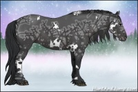 Horse Color:White Spotted Black Ice