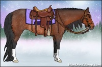 Horse Color:Bay Rabicano 