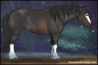 Horse Color:White Spotted Buckskin Rabicano 