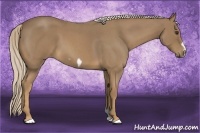 Horse Color:Palomino Roan Frame 