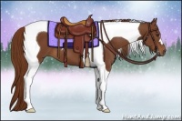 Horse Color:Chestnut Tobiano 
