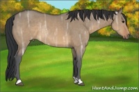 Horse Color:Brown Ice Dun Rabicano