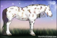 Horse Color:Nacre White Spotted Bay Onyx 