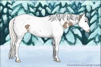 Horse Color:White Spotted Silver Smoky Black Splash Tobiano 