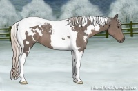 Horse Color:White Spotted Silver Black Tobiano 