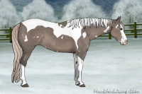 Horse Color:White Spotted Silver Black Splash Tobiano 