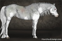 Horse Color:Silver Grullo Chinchilla Ice Splash 