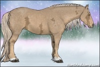 Horse Color:Palomino Ice 