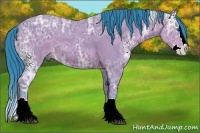 Horse Color:Watercolor White Spotted Bay Ice Splash