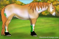 Horse Color:Watercolor Red Onyx