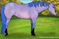 Horse Color:Watercolor Buckskin 