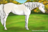 Horse Color:Chocolate Silver Smoky Creme Dun Sabino Splash