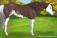 Horse Color:Chocolate Smoky Black Sabino Splash 