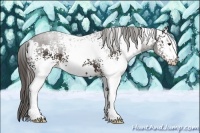 Horse Color:White Spotted Liver Chestnut 