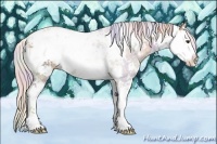 Horse Color:Nacre Silver Black Pearl Sabino