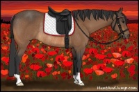Horse Color:Buckskin Rabicano