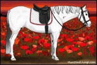Horse Color:Buckskin Splash Tobiano 