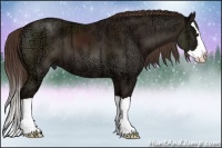 Horse Color:Liver Chestnut Ice Splash 