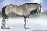 Horse Color:Blue Onyx Ice Splash