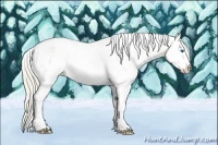 Horse Color:Watercolor White Spotted Silver Bay Ice Dun Splash