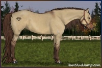 Horse Color:Liver Red Dun 