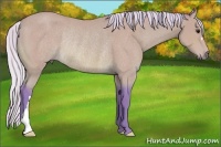 Horse Color:Watercolor Silver Bay Rabicano 