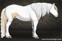 Horse Color:Gold Champagne Pearl Splash Tobiano Rabicano 