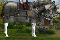 Horse Color:Bay Dun Sabino Appaloosa 