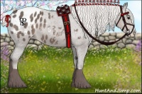 Horse Color:Silver Black Sabino Appaloosa