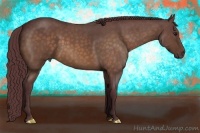 Horse Color:Chocolate Buckskin Roan