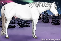 Horse Color:Liver Chestnut Sabino Appaloosa 