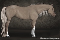 Horse Color:Silver Grullo 
