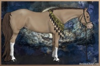 Horse Color:Classic Champagne 