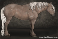 Horse Color:Silver Black 