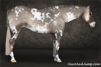 Horse Color:White Spotted Silver Blue Onyx 