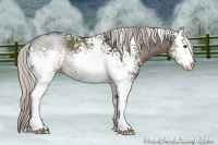 Horse Color:White Spotted Silver Black Sabino 